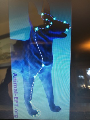 5C75DC8E-FF44-468B-B75A-116219B0643B