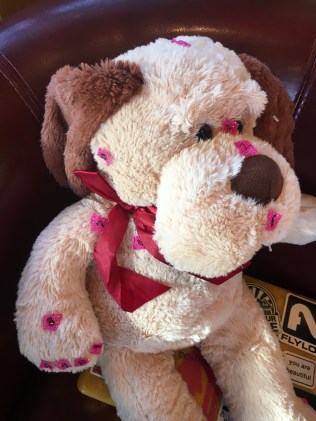 A13BE3DE-37B8-4629-A1B7-8E405DE68207